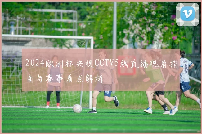 2024欧洲杯央视CCTV5线直播观看指南与赛事看点解析