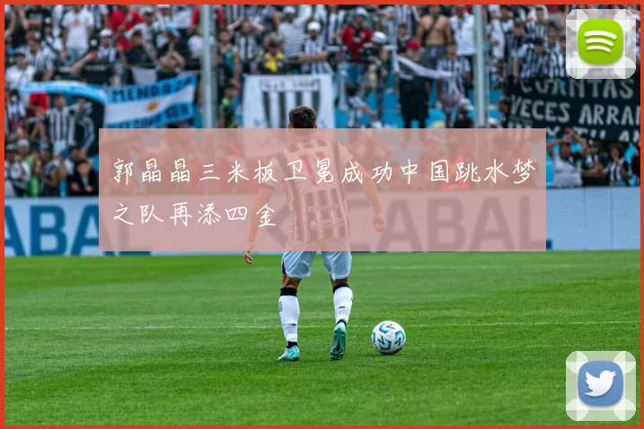 郭晶晶三米板卫冕成功中国跳水梦之队再添四金