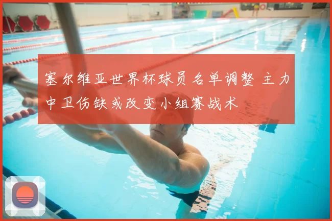 塞尔维亚世界杯球员名单调整 主力中卫伤缺或改变小组赛战术