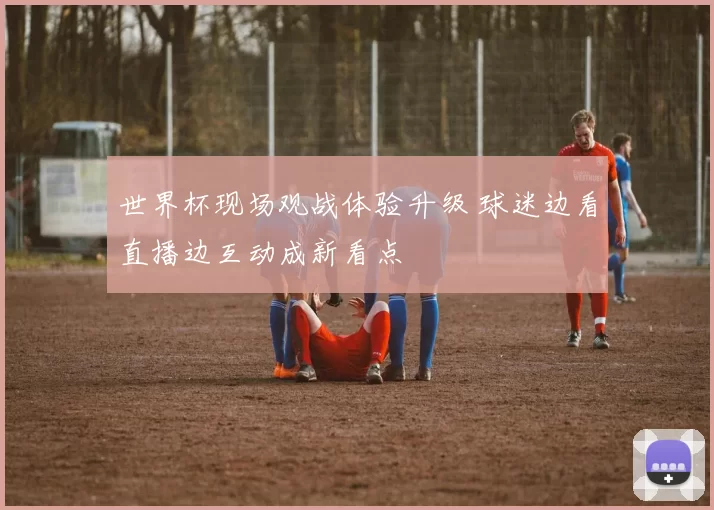 世界杯现场观战体验升级 球迷边看直播边互动成新看点