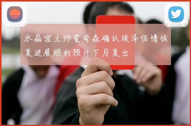 水晶宫主帅霍奇森确认埃泽伤情恢复进展顺利预计下月复出