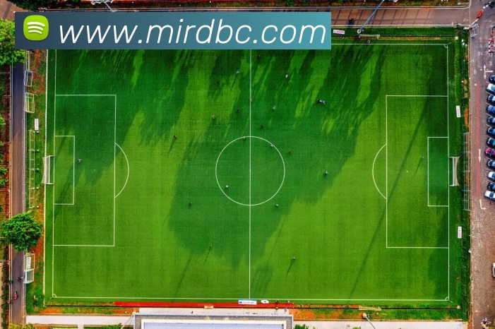 App Interface Preview